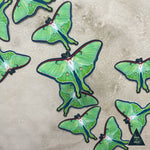 Luna Moth Ascends Sticker