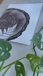Fern in Wood Slice Art Print