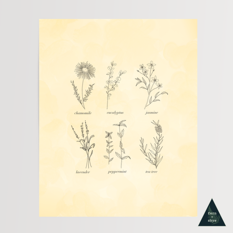 Vintage Botanical Herbs Art Print